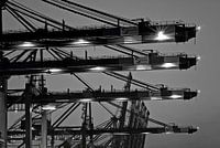 Hamburg - Loading cranes in the port of Hamburg
