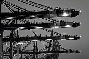 Hamburg - Ladekrane im Hamburger Hafen