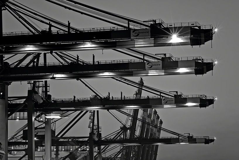 Hamburg - Loading cranes in the port of Hamburg by Das-Hamburg-Foto