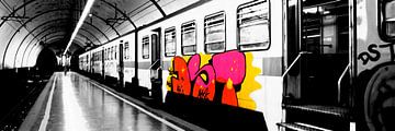 Metro n Rome van Danielle van Leeuwaarden
