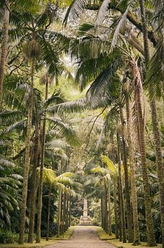 Onder de palmbomen van Lisa Bouwman