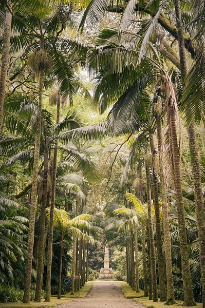 Under the palm trees by Lisa Bouwman
