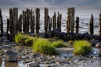 Wadden