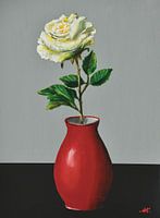 Flowers - White Rose with Red Vase