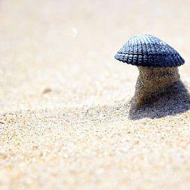 Schelp op een torentje van zand by Olaf Douma