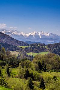 Tatra-Gebirge in Polen im Frühling