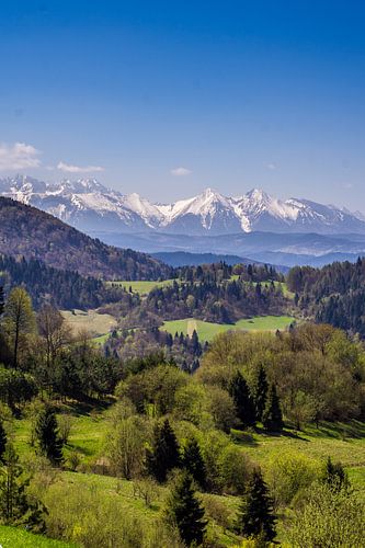 Montagnes Tatry en Pologne au printemps