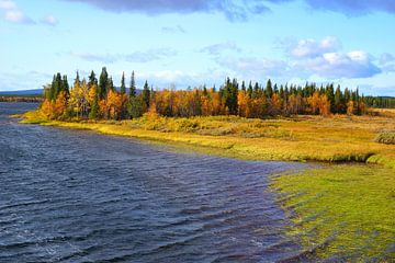 Island in the Swedish Archipelago