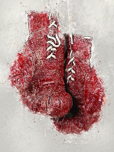 Bokshandschoen Schilderen