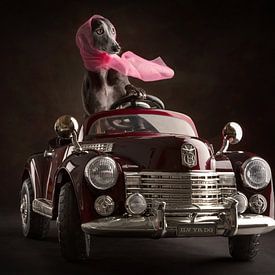 Auto met hond van Nuelle Flipse