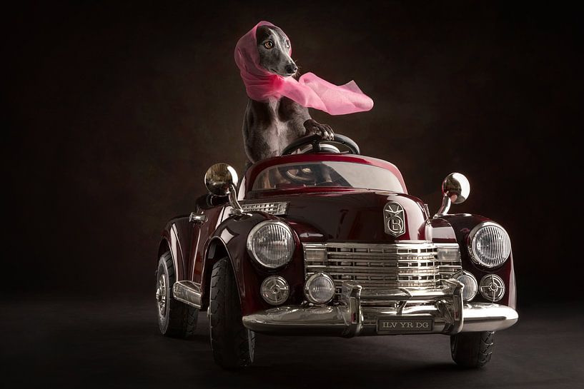 Oldtimer mit Hund von Nuelle Flipse