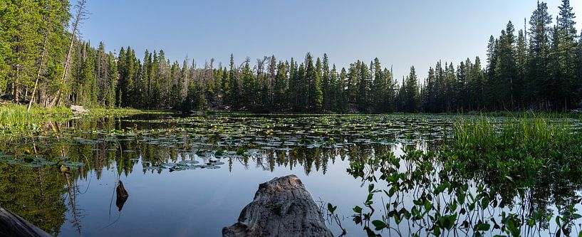 Nymph Lake, Rocky Mountain National Park by Jeroen van Deel