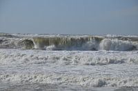 Golven