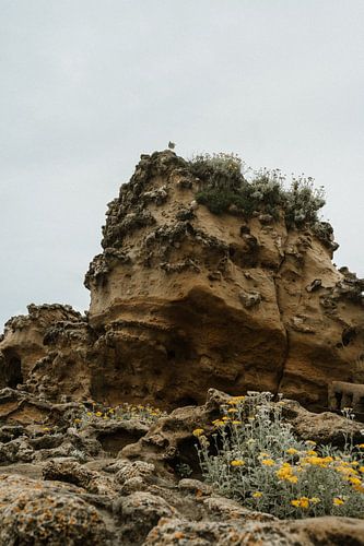 Felsen bei Biarritz