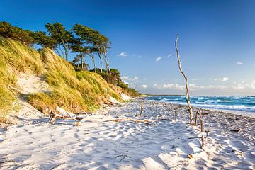 Strand aan de Oostzee van Sascha Kilmer