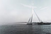 Die Erasmusbrücke verschwindet im Nebel.