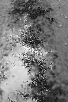 Schmelzendes Eis von Betty Verheij