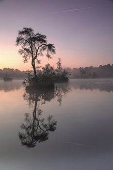 Before the sun rose.