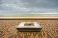 Digue de mer à Wenduine, Belgique. par Pieter van Roijen Aperçu