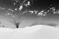 White Sands Impression | Monochroom van Melanie Viola thumbnail