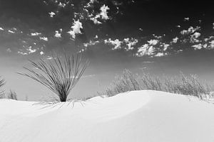 White Sands Impression | Monochrom