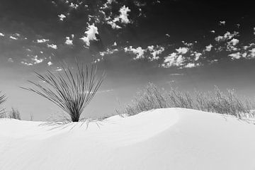 White Sands Impression | Monochroom van Melanie Viola