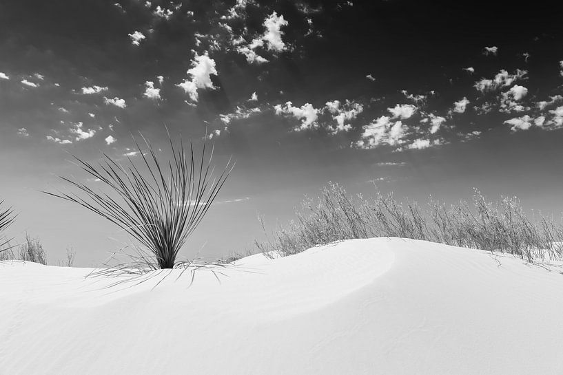 White Sands Impression | Monochroom van Melanie Viola