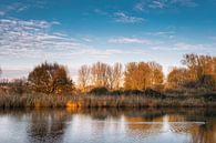 herfst kleuren weerspiegeld in de stille wateren van een meer in de buurt van Rotterdam Nederland van Tjeerd Kruse thumbnail