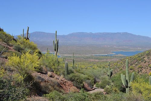 Tonto National Park , Arizona
