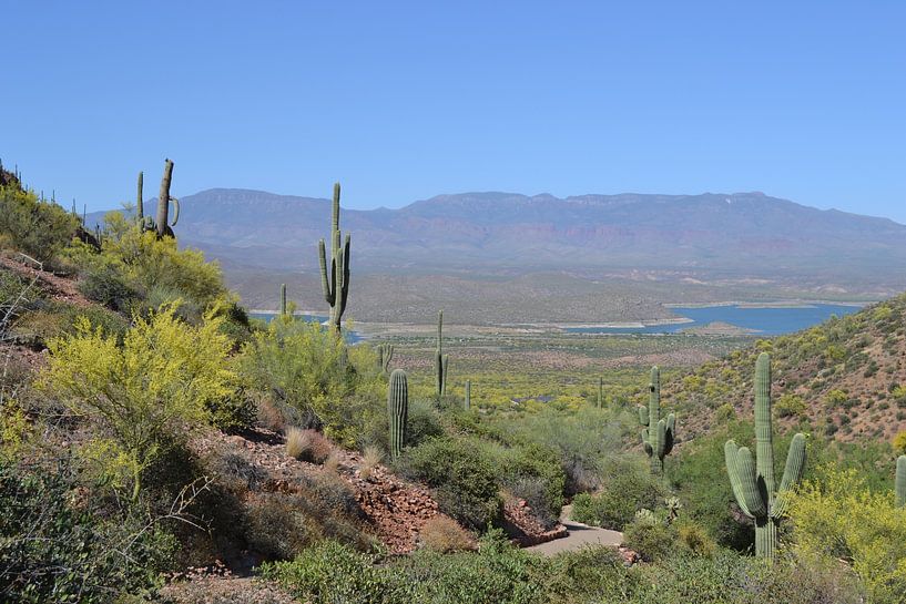 Tonto National Park , Arizona von Bernard van Zwol