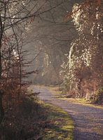 Wege II 