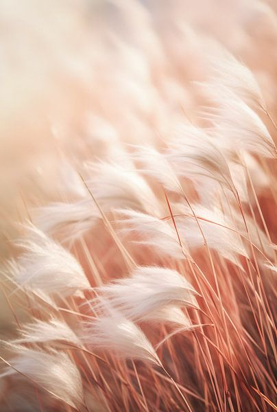 Sky Hair by Steffen Gierok