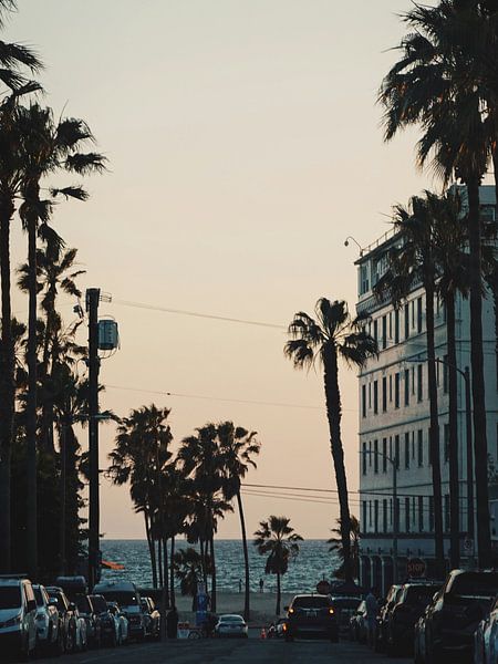 Los Angeles by Hello Pompoyo