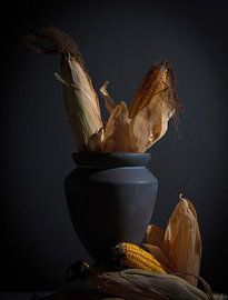 Quand l'automne commence sur Urselafotografie