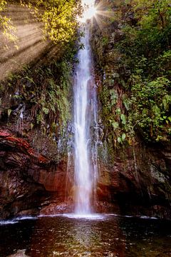 Wasserfall auf Madeira