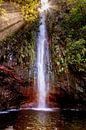 Wasserfall auf Madeira von Dirk Rüter Miniaturansicht