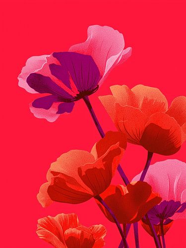 In Feuer und Fuchsia blühte das Verlangen