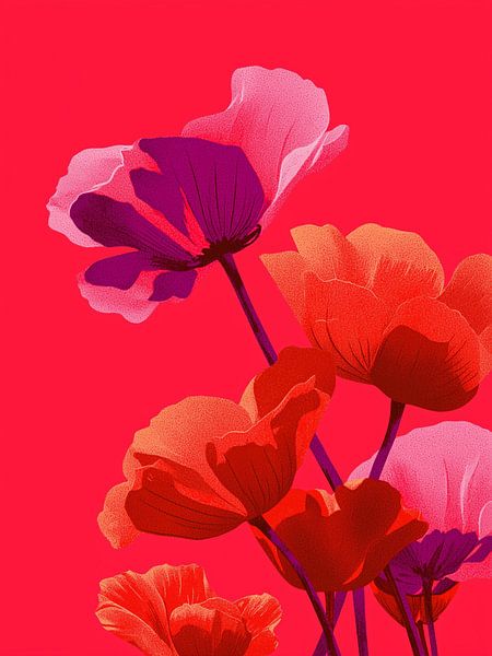 In fire and fuchsia bloomed desire by Color Square