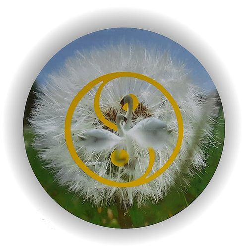 Zwanen, Paardenbloem , en het Yin Yang symbool