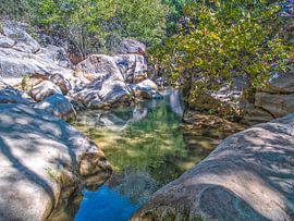 Flowing River Among Beautiful Nature by Nature Life Ambience