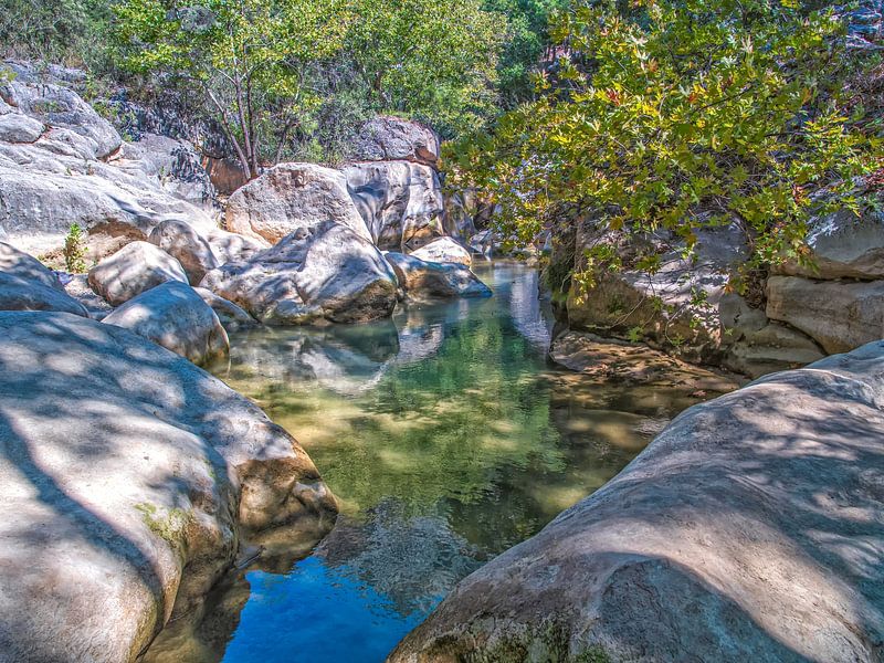 Flowing River Among Beautiful Nature by Nature Life Ambience