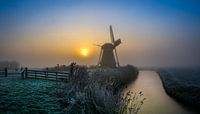 Dutch Windmill Garrelsweer by Edwart Visser thumbnail