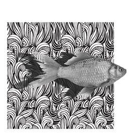 GoldFish sur Marja van den Hurk