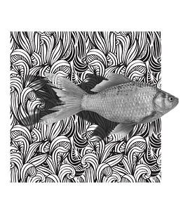 GoldFish
