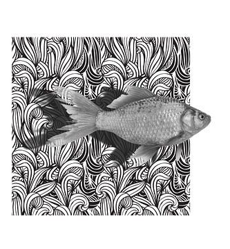 GoldFish von Marja van den Hurk