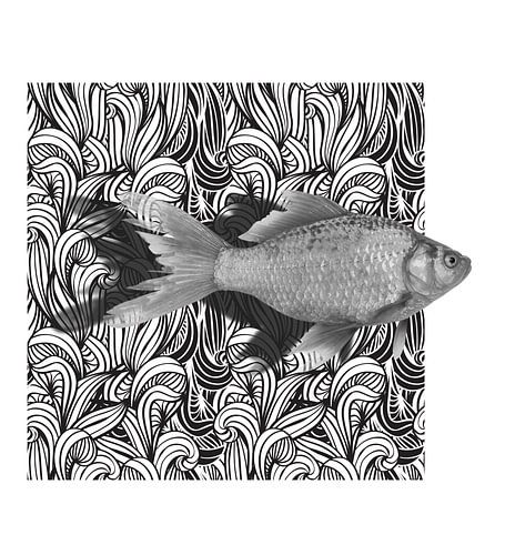 GoldFish sur Marja van den Hurk
