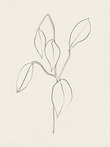 Vie Simple No 28