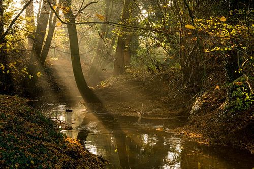 Winterswijkse beek de Boven-Slinge in de najaars middagzon
