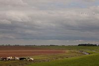 View over the dike