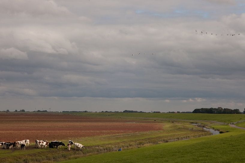 View over the dike by Nella van Zalk